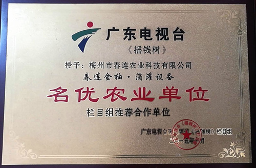 yy易游金柚滴灌设备名优农业单位
